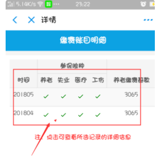 支付宝如何查询社保缴费记录-第1张图片-中华文旅部